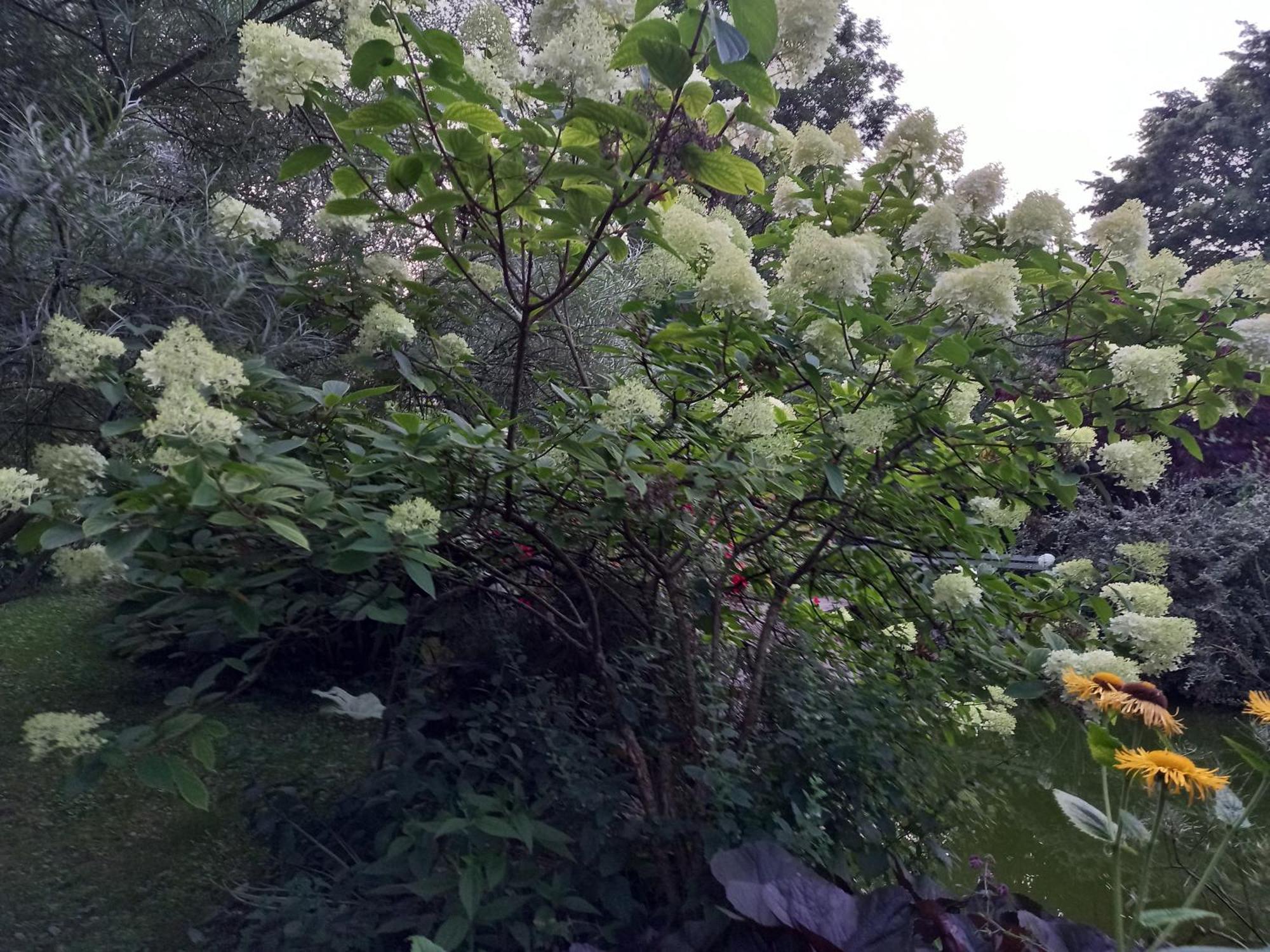 La Haie A Cerf Watronville 部屋 写真