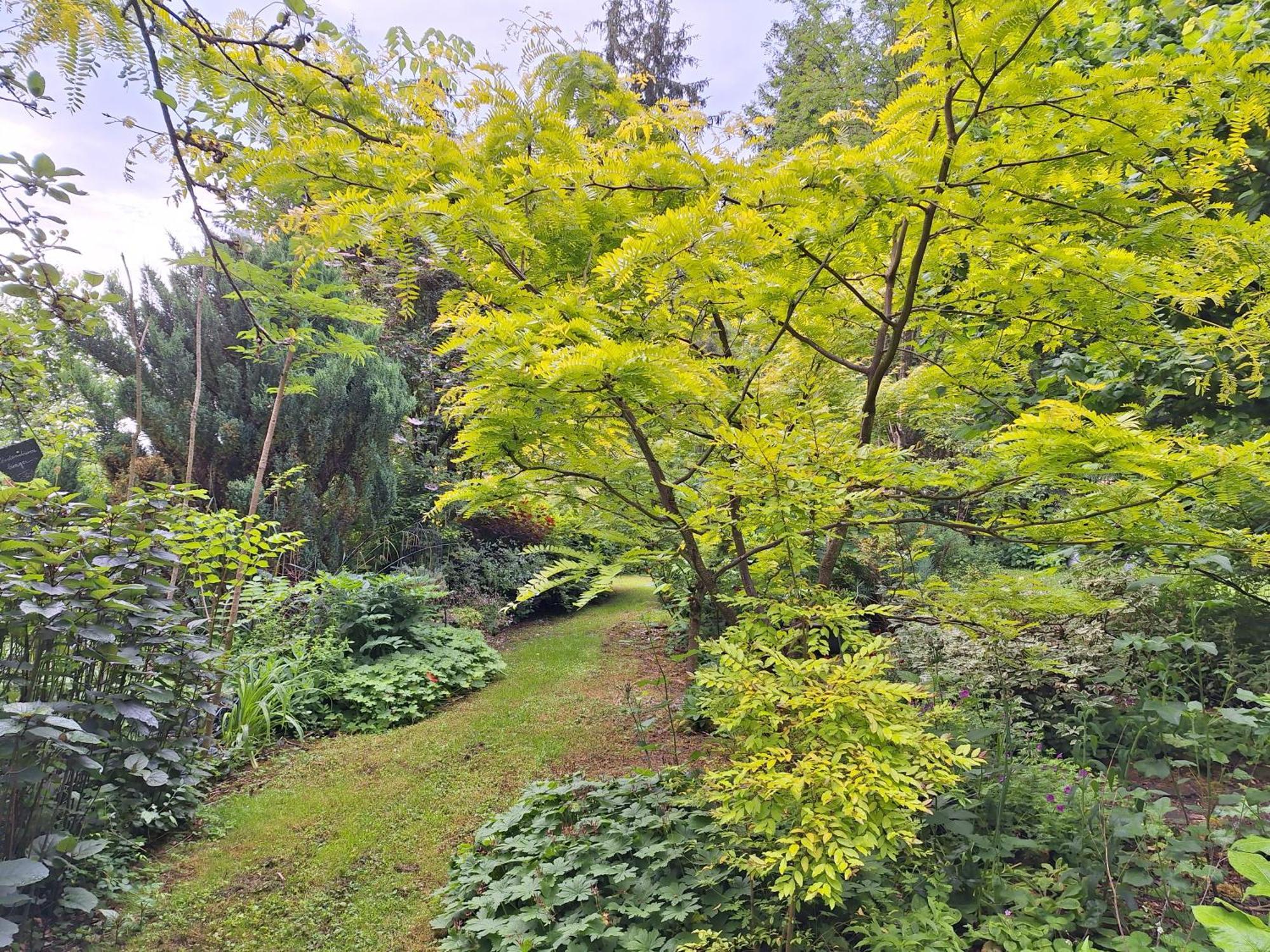 La Haie A Cerf Watronville 部屋 写真