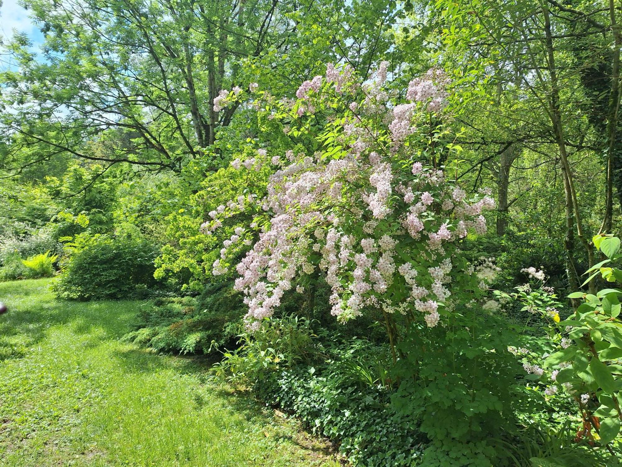 La Haie A Cerf Watronville 部屋 写真