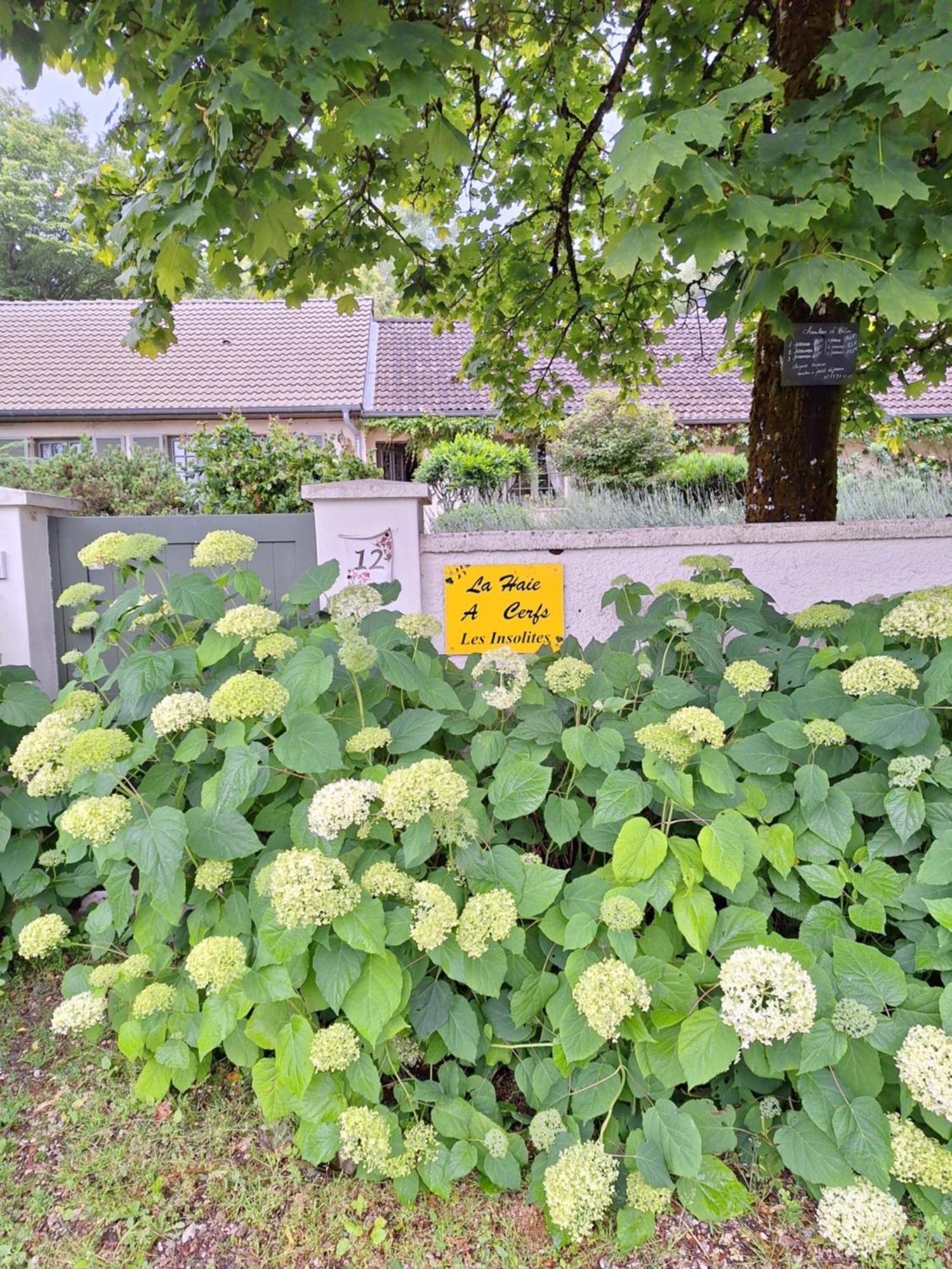 La Haie A Cerf Watronville エクステリア 写真