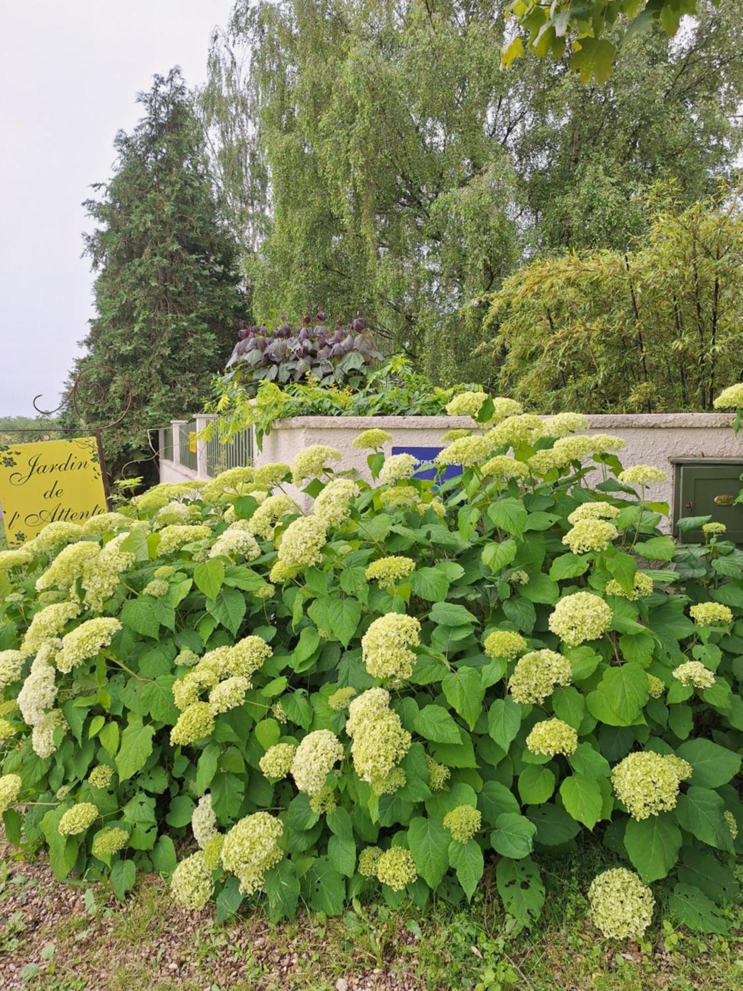 La Haie A Cerf Watronville エクステリア 写真