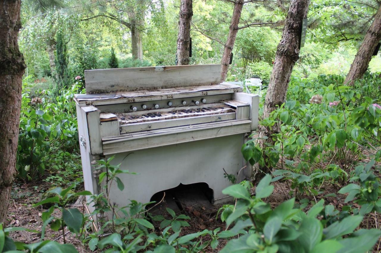 La Haie A Cerf Watronville エクステリア 写真